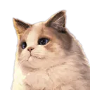 Psycat_2