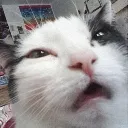 TI_HUH