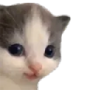 hehe