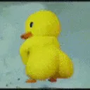 ducktwerk