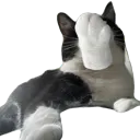 cowaraki
