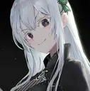 Echidna