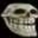 skul