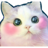 :KittyBlush: