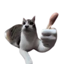 Oke