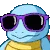 SquirtleVibe