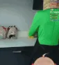 VedalFumoThrow