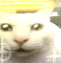nh_holyCat nh_holyCat
