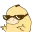 duck_swag