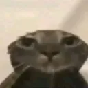 bruh