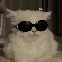 catcool