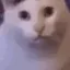 HUH