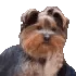 bbRant