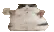 CatFat