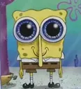 HappySponge