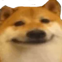 DogDelightful