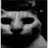 void_cat