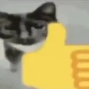 thumbsupcat