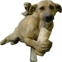 ekmekreis