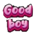 goodboy