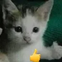 emoji_1