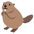 beaver7