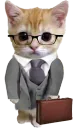 buisness