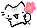 flowercat