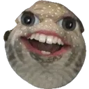 FishKek