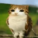 thisthing