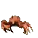 wendil1Crabrave