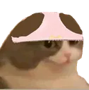 pantsip