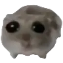 sad_hamster sad_hamster