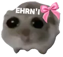 EHRNHamsti