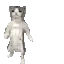 catGroove