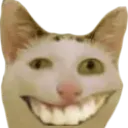 CAT_troll