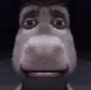 ane