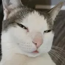 guh