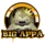 bigappa012011