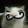 Mousta