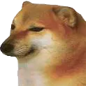 SadDoggo