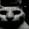 cursed