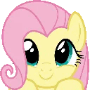 u_flutter_hehe