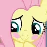 :8_flutterblush: 8_flutterblush