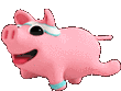 pigexercise
