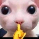bingus Discord emoji
