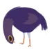 bird