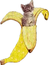 bananacat