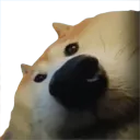 huh