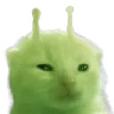 glorp